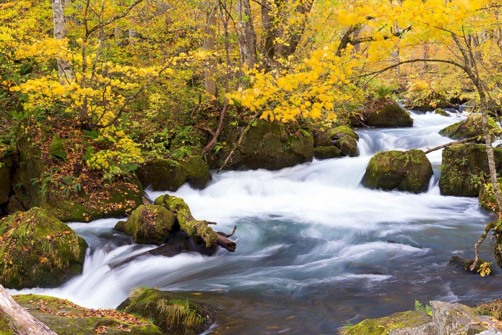 This represents one of northern Japan's most spectacular autumn leaf viewing destinations